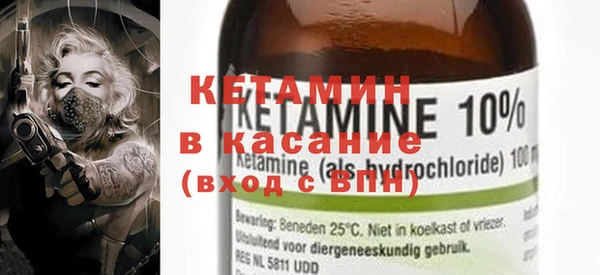 прущие грибы Абинск