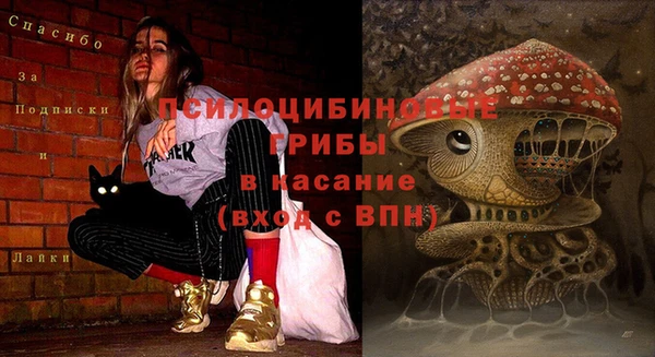 а пвп мука Абаза