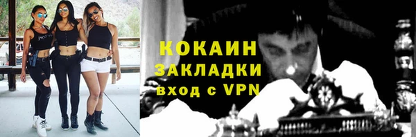 прущие грибы Абинск