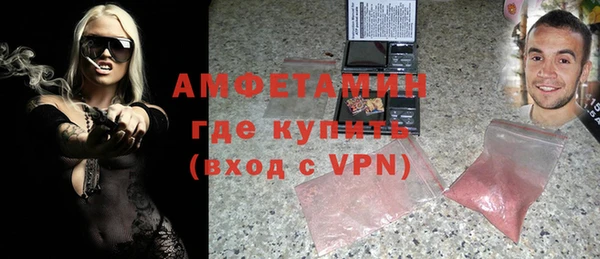 прущие грибы Абинск