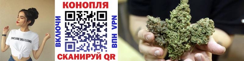 Каннабис White Widow  наркота  Каргополь 